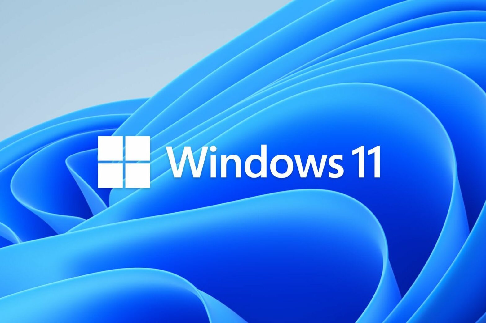 L'adoption de Windows 11 serait famélique dans les entreprises