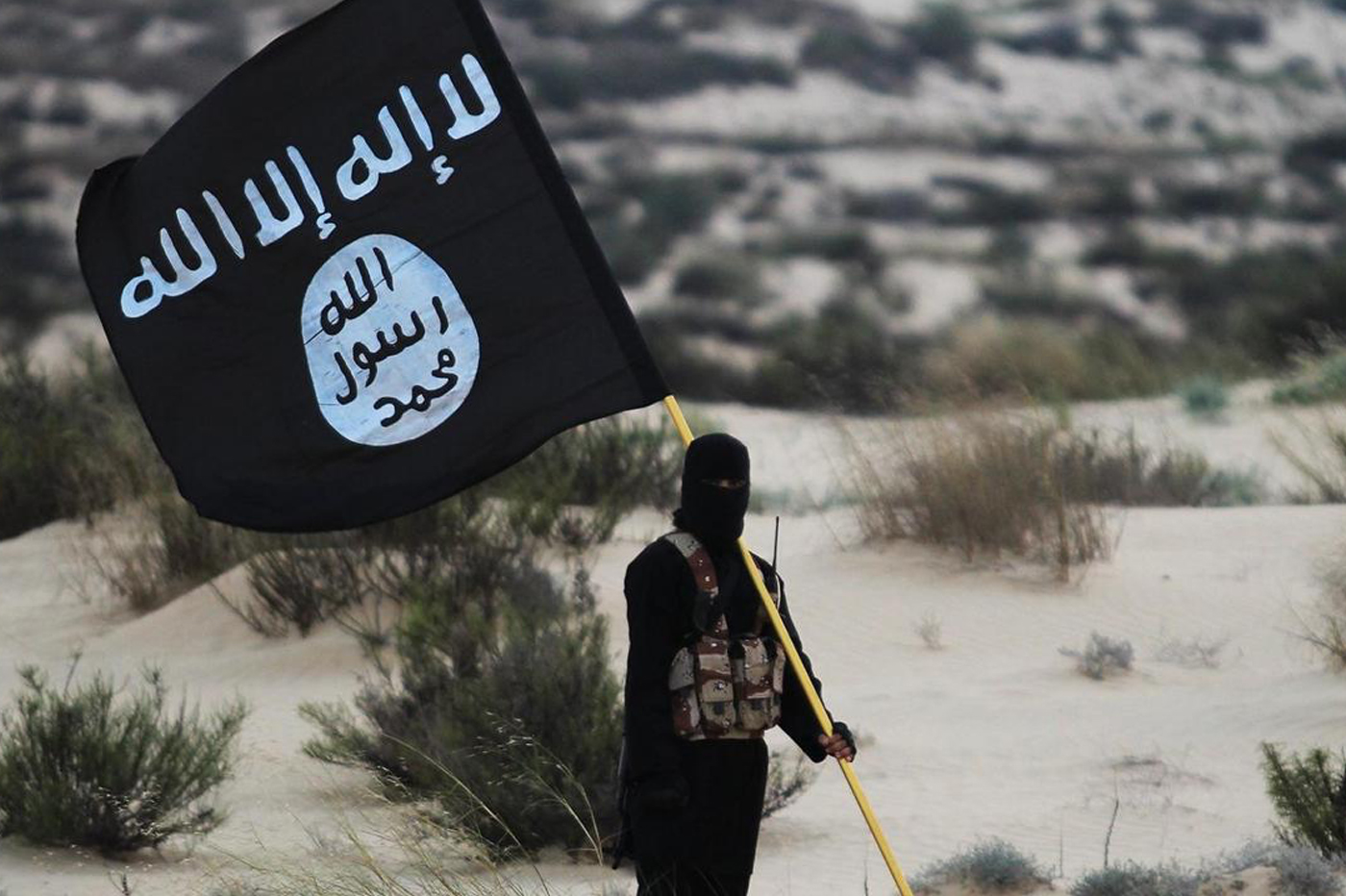 Pourquoi les terroristes de Daesh se lancent dans les NFT