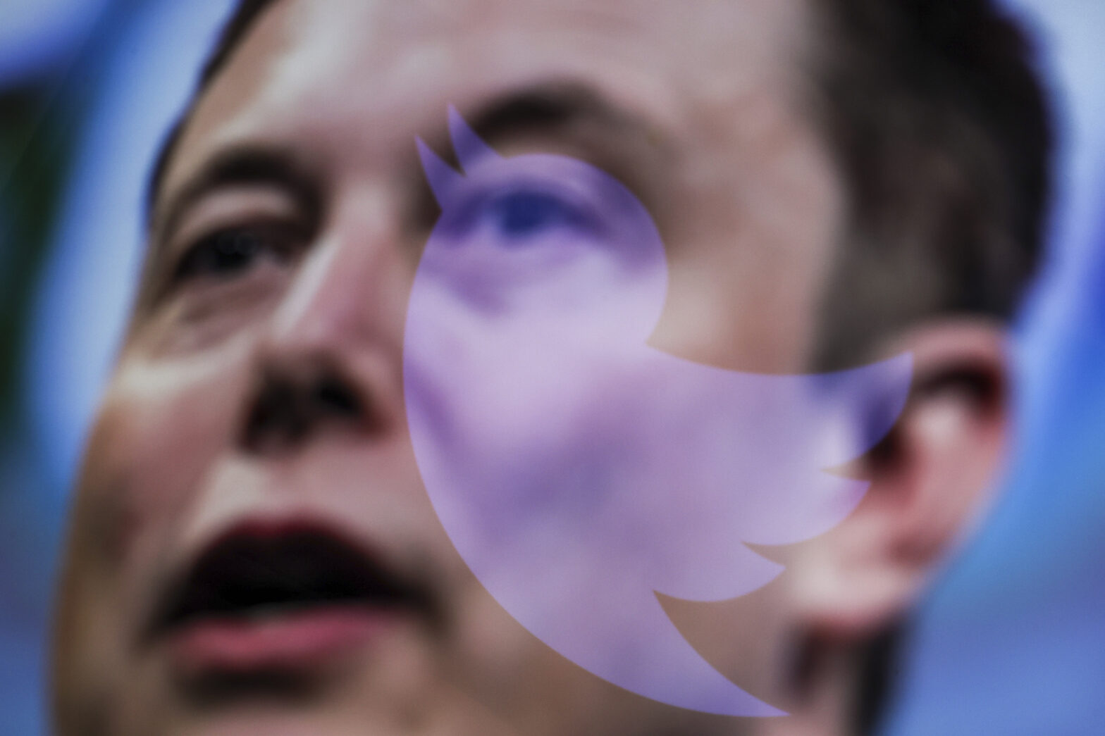 Twitter : Après avoir interdit le télétravail, Musk s
