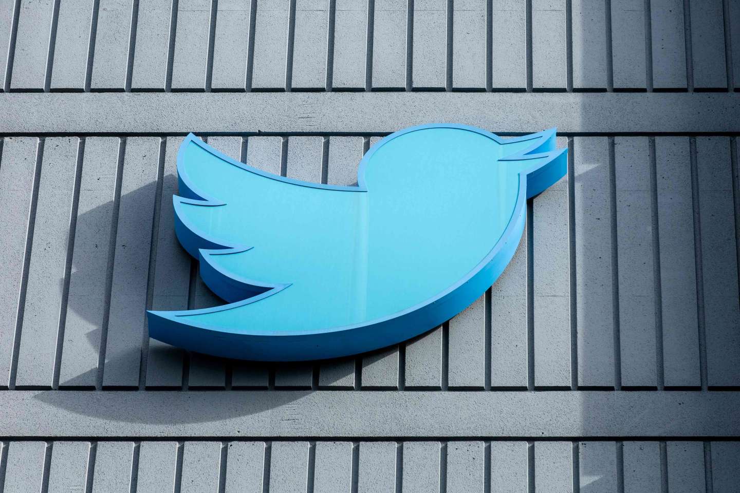 Twitter autorise à nouveau les publicités pour des « causes », et bientôt les publicités politiques