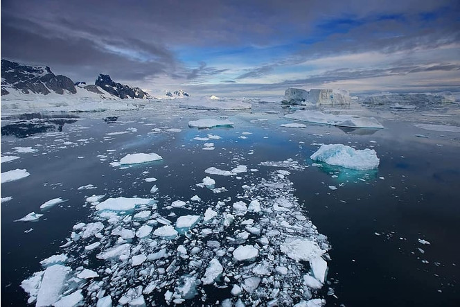 le glaciers une espèce en voie de disparition