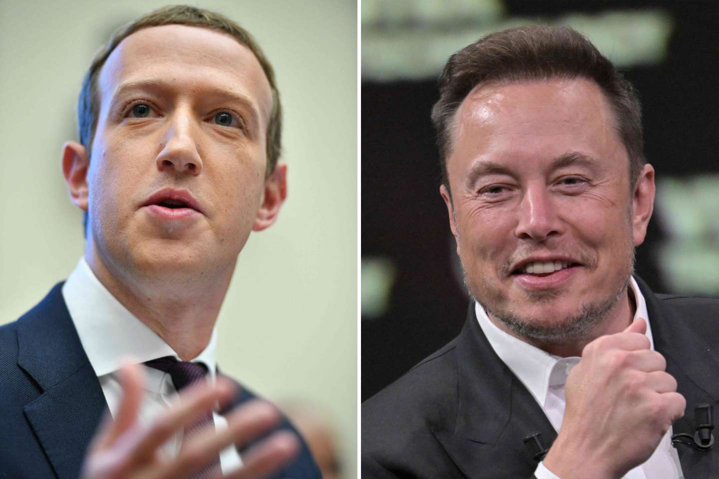 Elon Musk et Mark Zuckerberg se défient mutuellement à un combat de MMA
