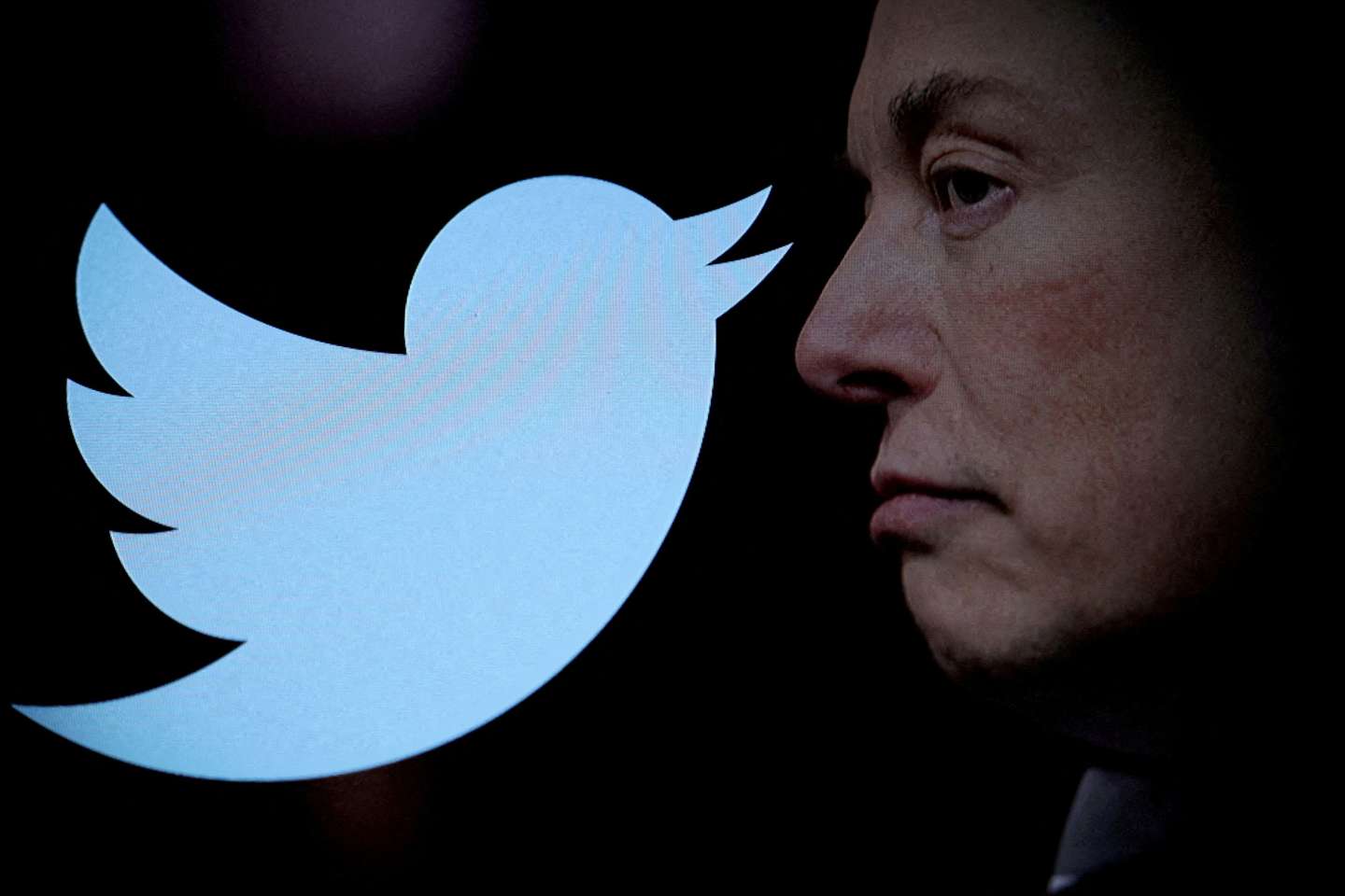 Elon Musk veut changer le logo et le nom de Twitter