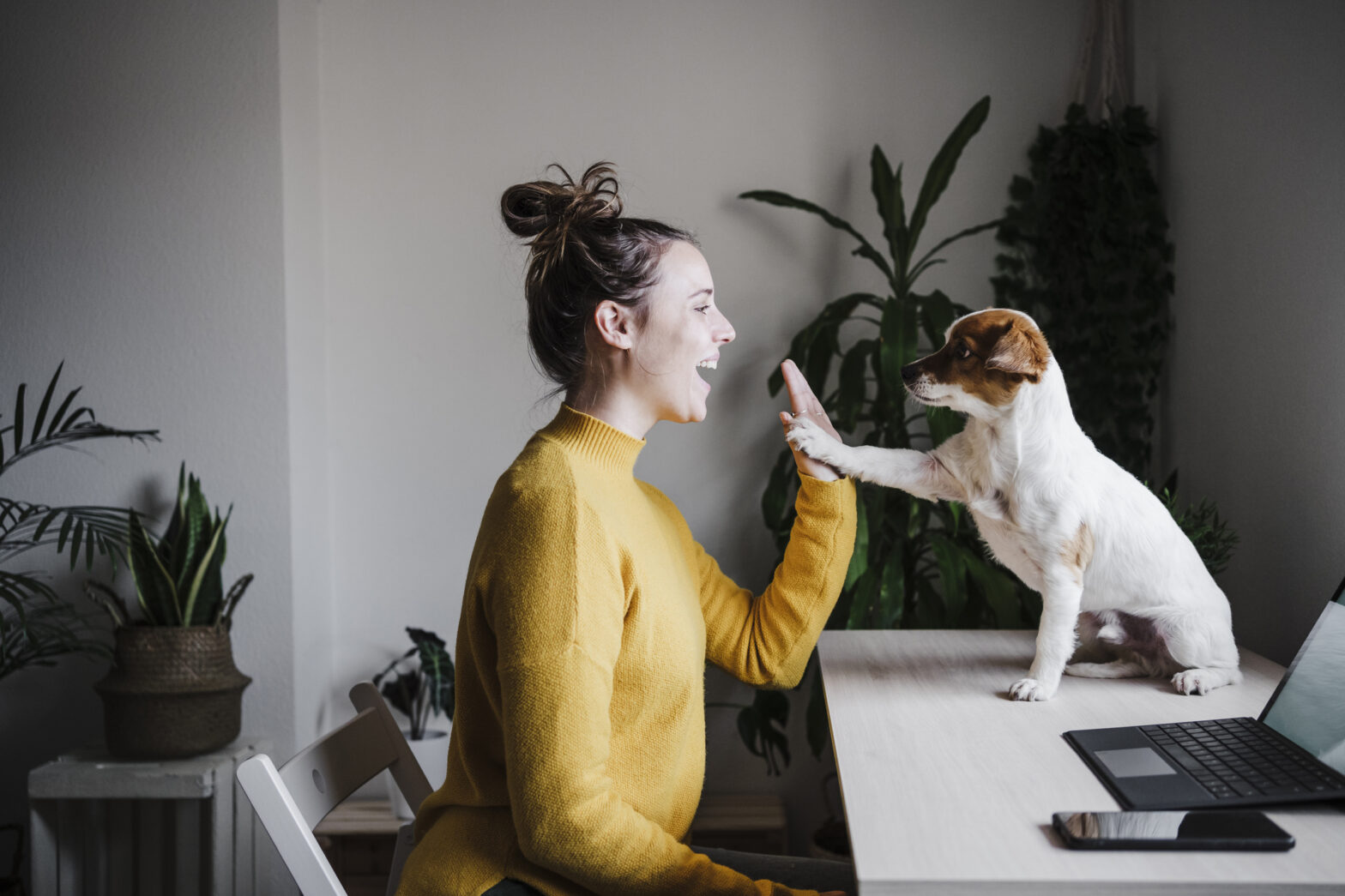 Cette nouvelle fonctionnalité LinkedIn vous aide à vous démarquer de la masse, voici comment