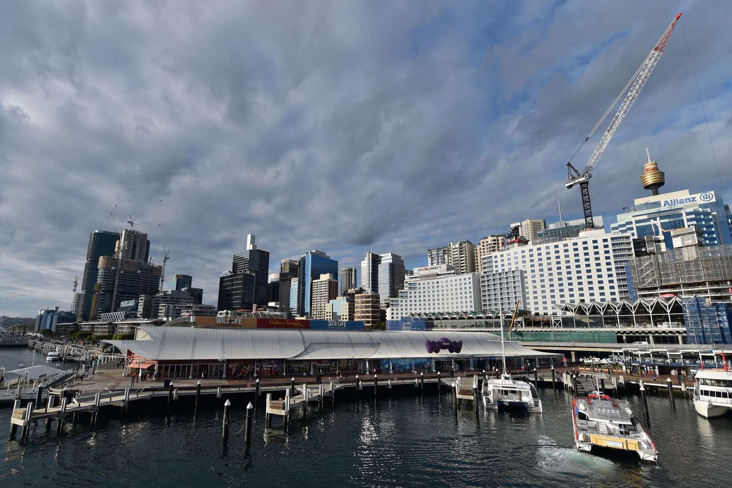 L’Australie subit un « incident de cybersécurité important » dans plusieurs ports