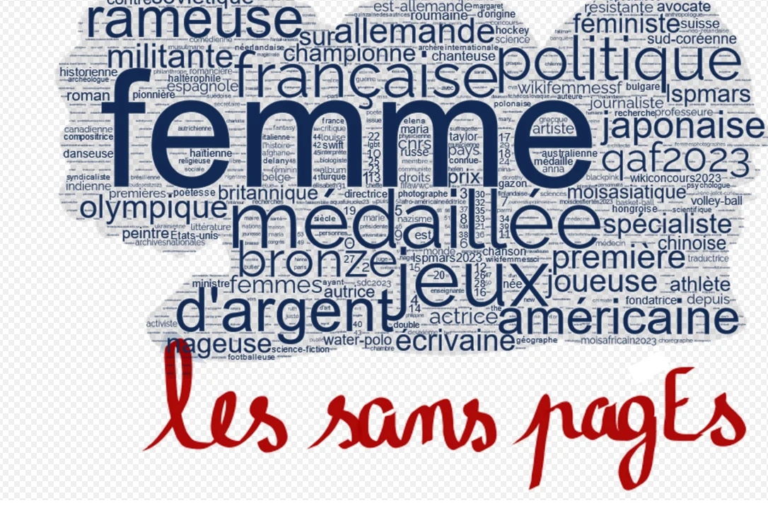 féminisme et dictionnaire dans ...