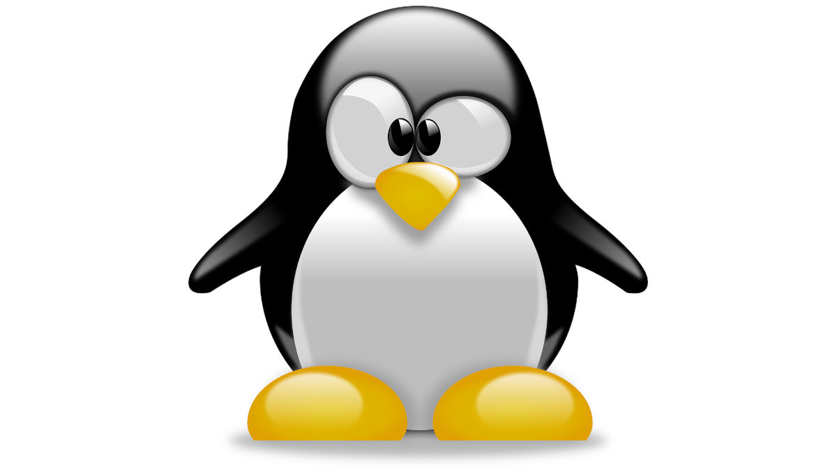 Arch Linux met en pause le dépôt AUR pour cause de malware